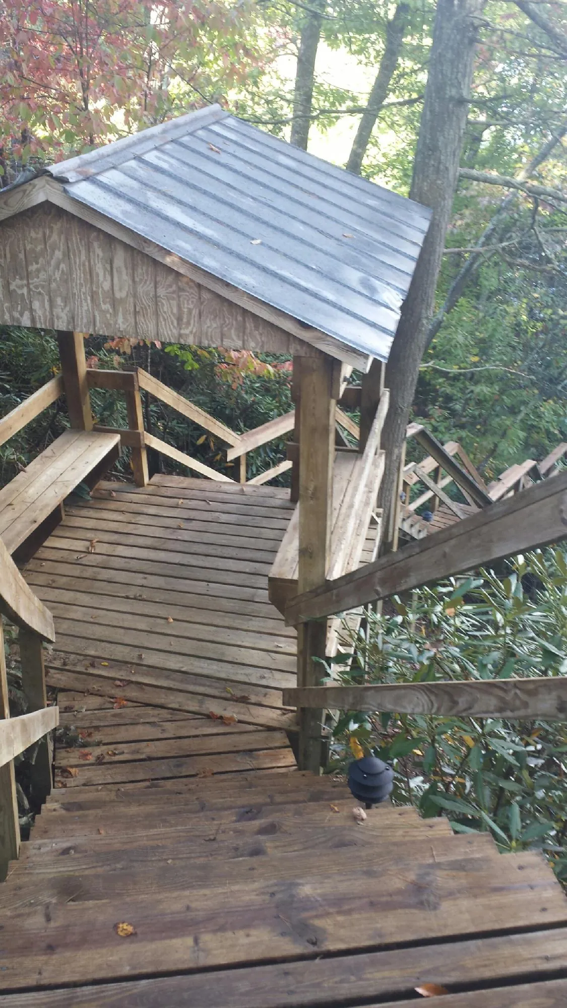 Metal roofed shelter over wooden steps on a wooded walkway — Skylight Repair & Installation work by our crew in Willow Wood